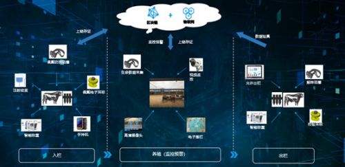 共建生态，智链未来 物联网与区块链联合创新中心关键进展发布